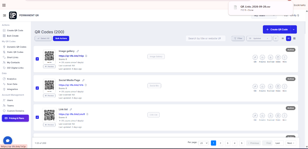 QR Links CSV File Downloaded