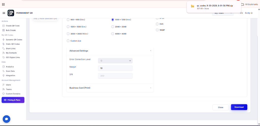 Advanced Settings for bulk QR image download
