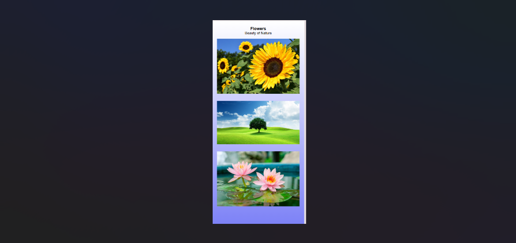 Actual mobile Image Gallery page after scanning the QR code