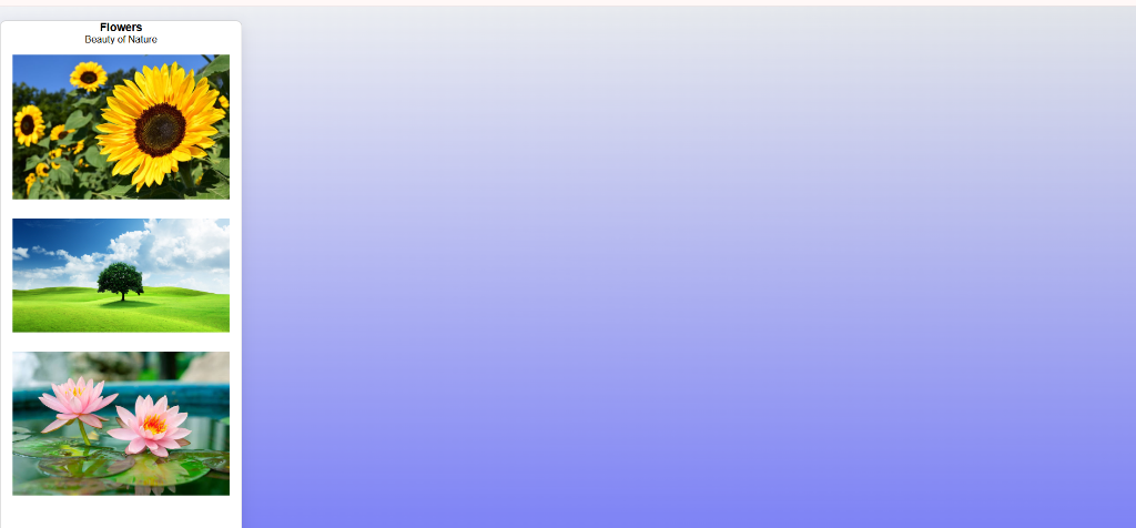 Mobile Image Gallery preview showing uploaded images