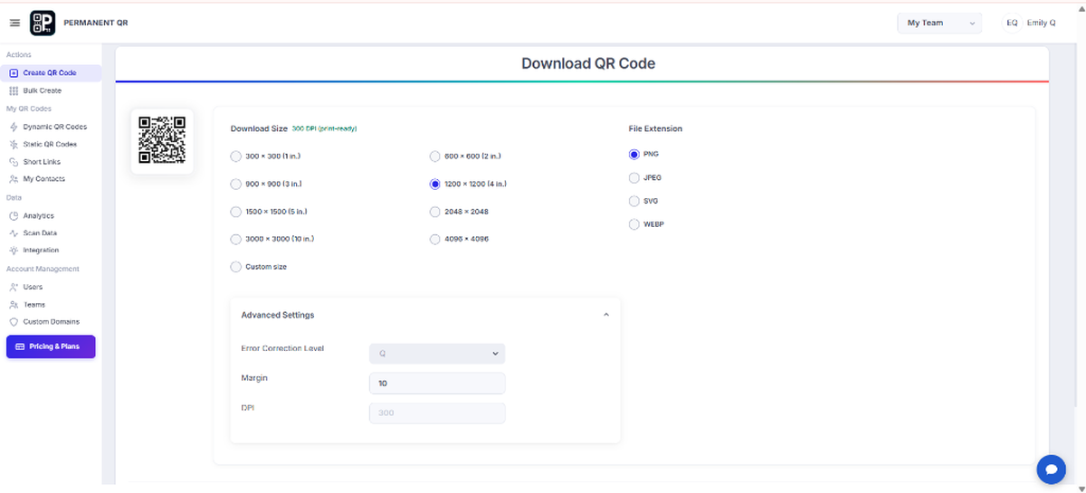 Download settings screen with size options, file format, and advanced DPI settings